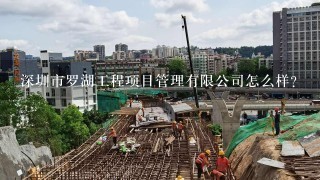 深圳市罗湖工程项目管理有限公司怎么样？
