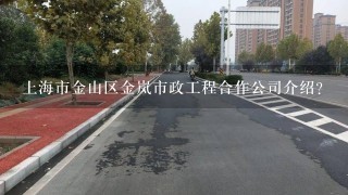 上海市金山区金岚市政工程合作公司介绍？