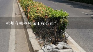杭州有哪些环保工程公司?