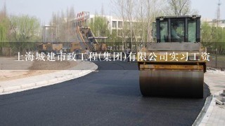 上海城建市政工程(集团)有限公司实习工资