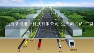 上海莱视电子科技有限公司 生产测试员 工资多少