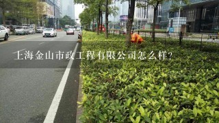 上海金山市政工程有限公司怎么样？