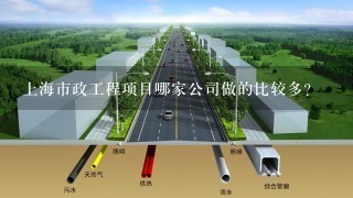 上海市政工程项目哪家公司做的比较多？