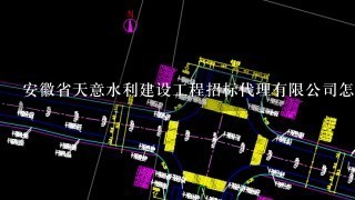 安徽省天意水利建设工程招标代理有限公司怎么样？