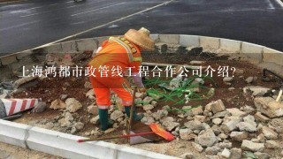 上海鸿都市政管线工程合作公司介绍？