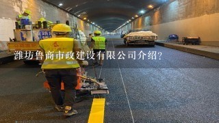 潍坊鲁商市政建设有限公司介绍？