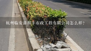 杭州临安清源丰市政工程有限公司怎么样？