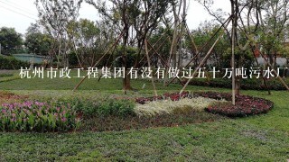 杭州市政工程集团有没有做过5十万吨污水厂