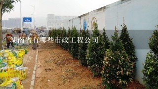 湖南省有哪些市政工程公司