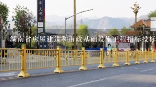 湖南省房屋建筑和市政基础设施工程招标投标管理办法