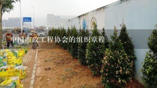 中国市政工程协会的组织章程
